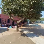 School Building 1